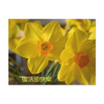 Yellow daffodils happy easter postcard