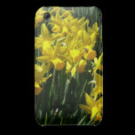 Yellow Daffodils iPhone 3 Cover