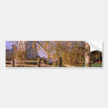 yellow Daffodils line weathered fence, Washington Bumper Sticker
