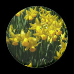 Yellow Daffodils Magnet
