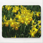 Yellow Daffodils Mousepad
