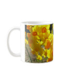 yellow, flower, yellow, flowers, yellow,
