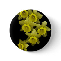 Yellow Daffodils On Black Button