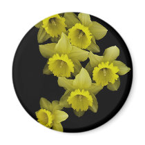 Yellow Daffodils On Black Refrigerator Magnet