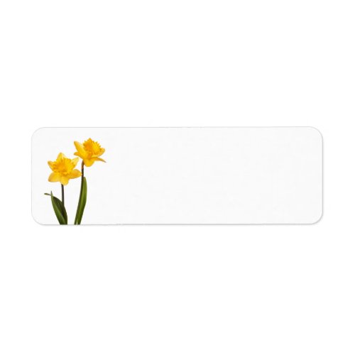 Yellow Daffodils on White - Daffodil Flower Blank Label
