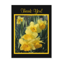 Yellow Daffodils postcards by sharpcreations Yellow Daffodils postcards