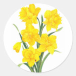 Yellow Daffodils Round Sticker