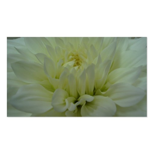Yellow Dahlia Flower Business Card Template (front side)