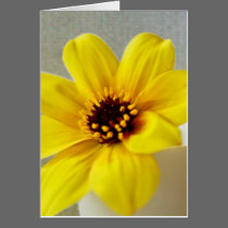 Yellow Dahlia Greeting Card cards