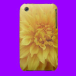 yellow dahlia i-phone 4 Tough Case-mate case casemate cases