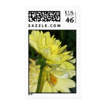 Yellow Dahlias Postage postage