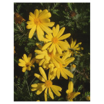 Yellow Daisies flyers