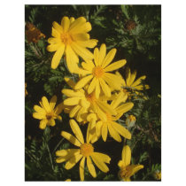 Yellow Daisies letterhead
