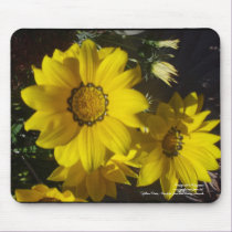 Yellow Daisies mousepads