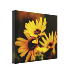 Yellow Daisies on Canvas canvas prints