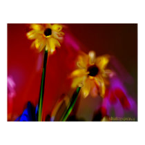Yellow Daisies on Pink Flower Poster