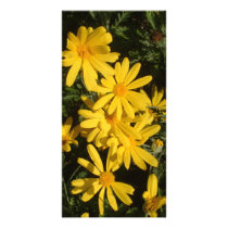 Yellow Daisies Personalized Photo Card