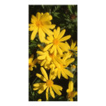 Yellow Daisies Personalized Photo Card