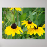 Yellow Daisies Print