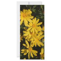 Yellow Daisies rack cards by fayinspain Yellow Daisies rack cards