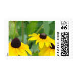 Yellow Daisies Stamp