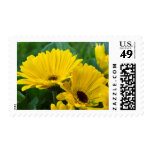 Yellow Daisies Stamp