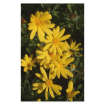 Yellow Daisies stationery by fayinspain Yellow Daisies stationery
