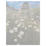 Yellow Daisies, the Quantocks, Somerset, England f Custom Letterhead