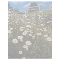 Yellow Daisies, the Quantocks, Somerset, England f Custom Letterhead