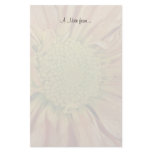 Yellow Daisy Background Yellow Daisy Background