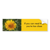 Yellow Daisy bumper stickers