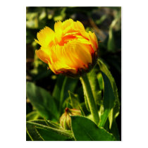 yellow daisy business cards