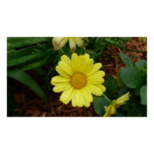 Yellow Daisy Business Card Template (back side)