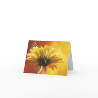 Yellow Daisy Card card