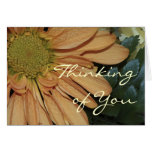 Yellow Daisy Card, Version B