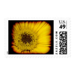 Yellow Daisy Center Black Edge Postage Stamps