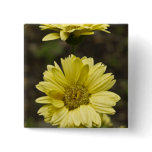 Yellow Daisy Cone Flowers Pin