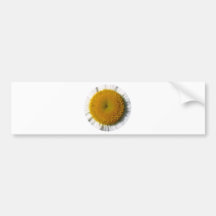 yellow_daisy_detail-800x600 cropped bumper sticker