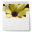 Yellow Daisy Envelope envelope