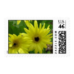 Yellow Daisy Festival Stamp