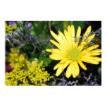 Yellow Daisy Floral Arrangement Print