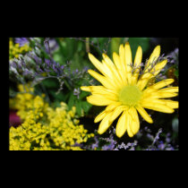 Yellow Daisy Floral Arrangement Print