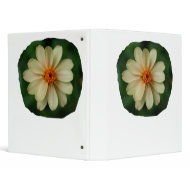 Yellow Daisy Flower green background close up binder