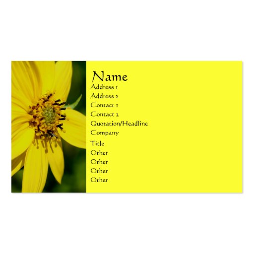 Yellow Daisy Flower Photography Business Card (front side)