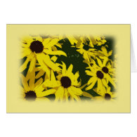 yellow daisy flowers in yellow frame card