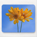 Yellow Daisy Flowers Mousepad