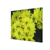 yellow daisy flowers stretched canvas print