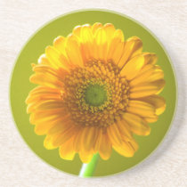 Yellow Daisy Gerbera Flower Coasters