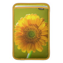 Yellow Daisy Gerbera Flower MacBook Air Sleeve