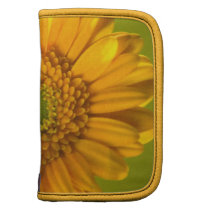 Yellow Daisy Gerbera Flower Planner